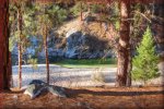 Free Forest Road Jigsaw Puzzles